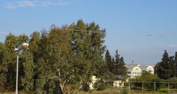 DSC00373