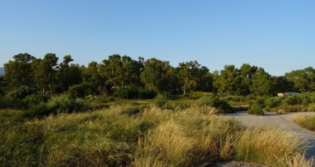 03 800x600